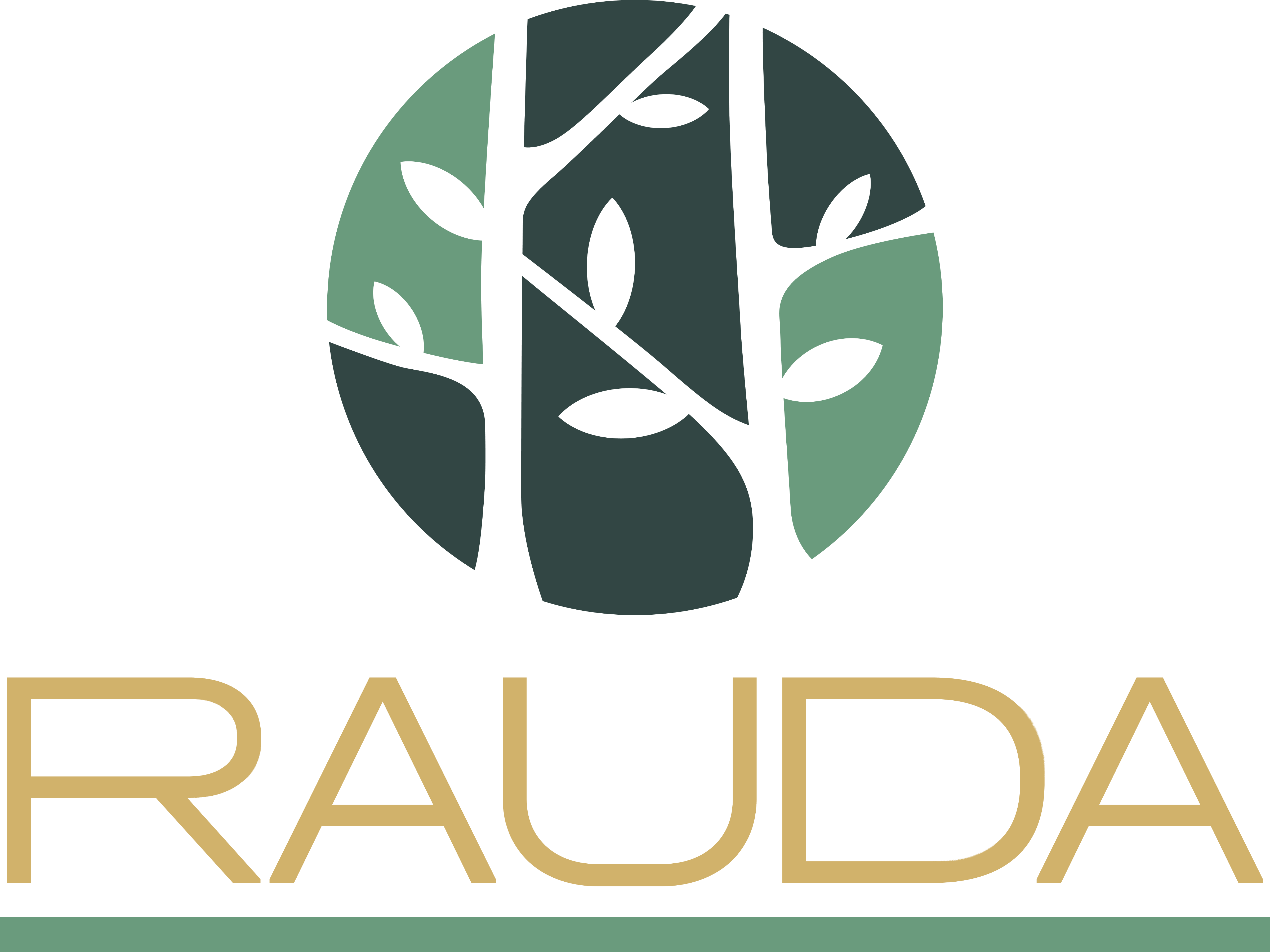 Rauda